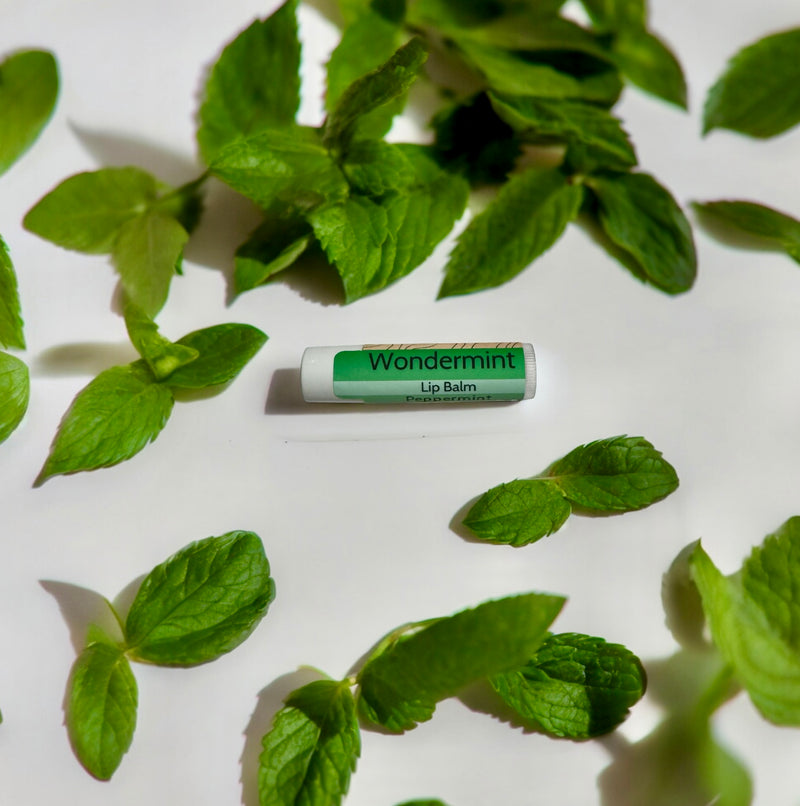 Load image into Gallery viewer, Peppermint &amp; Vanilla - Natural Lip Balm
